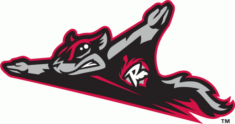 Richmond Flying Squirrels 2010-Pres Primary Logo vinyl decal